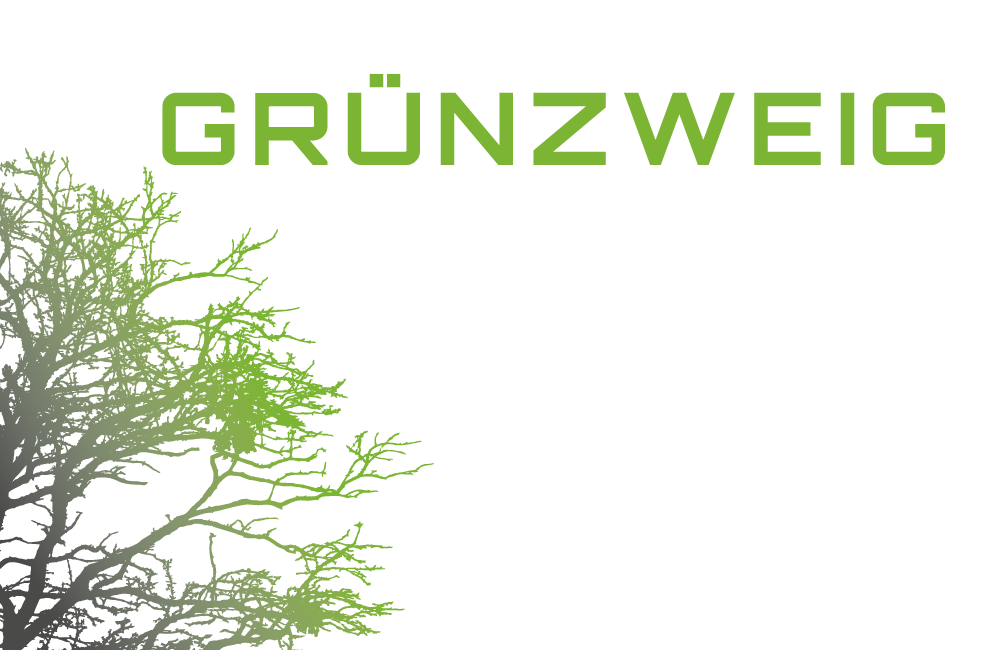 Grunzweig-Frankfurt-Finanzierung